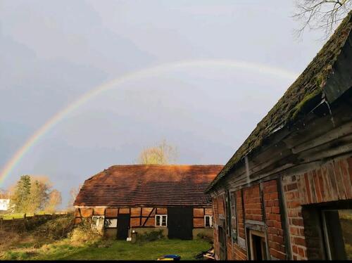 Foto - 7 Zimmer Einfamilienhaus zum Kaufen in Goldberg