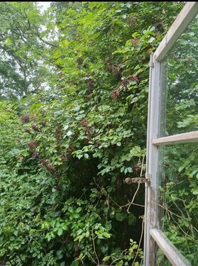 Foto - 7 Zimmer Einfamilienhaus in Goldberg