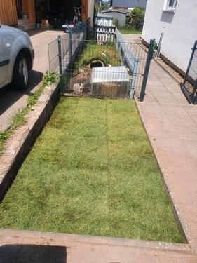 Foto - Einfamilienhaus in Tiefenbronn zum Kaufen