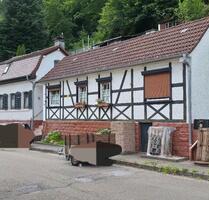 Einzugsbereites Familienhaus mit großem Grundstück, Werkstatt und - Frankenstein