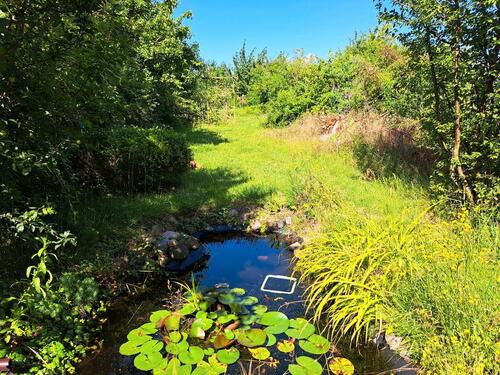 Foto - Pacht Garten im kleingarten verein 100€ im Jahr