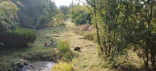 Foto - Grundstück zur Miete in Güstrow