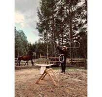 Einzigartiger Ranchurlaub in Småland, Schweden - Hamburg Hamburg-Mitte