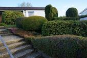 Foto - Einfamilienhaus in Biberach an der Riß