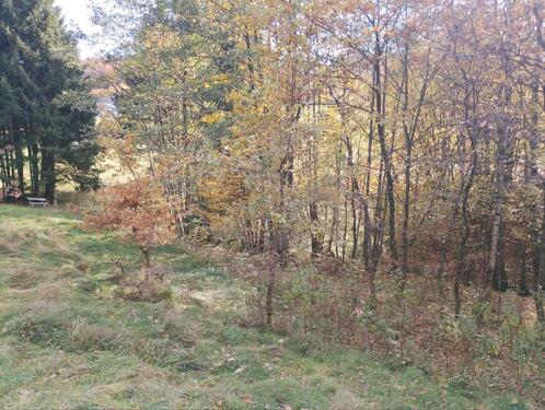 Foto - Einfamilienhaus zum Kaufen in Fürstenstein