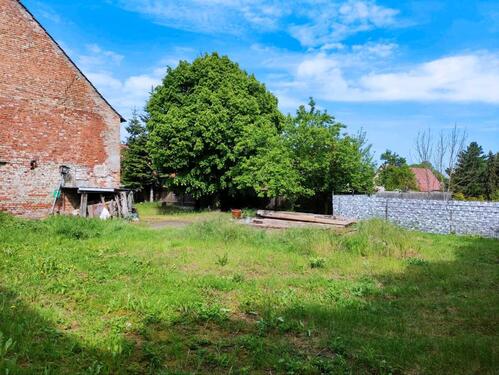 Foto - Einfamilienhaus in Möckern zum Kaufen