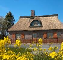 Anfragestopp - Reetdachhaus ab 01.04.26 zu vermieten - Marne