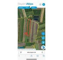 Landwirtschaftliche Ackerfläche mit Gehölz streifen - Röhrmoos