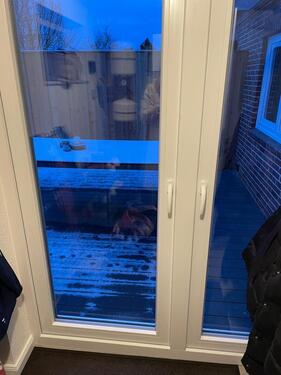 Foto - Doppelhaushälfte in Husum zur Miete