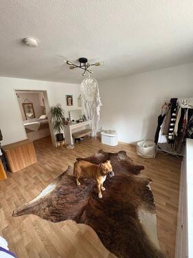 Foto - 4 Zimmer Etagenwohnung zur Miete in Hilzingen