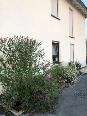 Foto - Energieautarkes Traumhaus Moers Bj. 2016 ohne Makler
