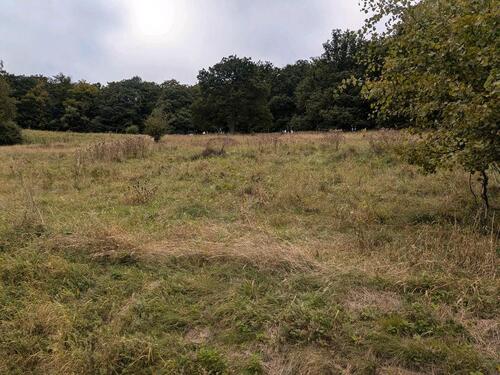 Foto - wiesen zu verpachten - 500,00 EUR Kaltmiete, ca.  0,00 m²