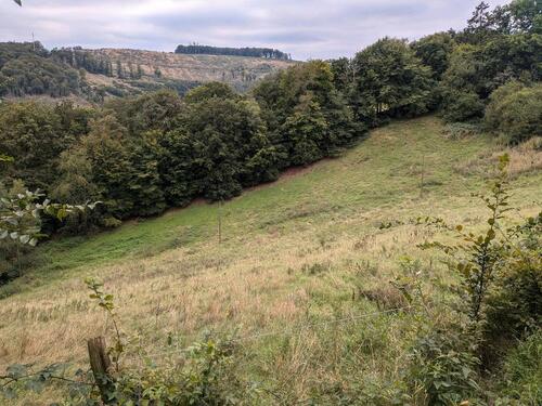Foto - Grundstück zur Miete in Altena