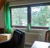 helles möbliertes Zimmer am Altengammer Elbdeich - Börnsen