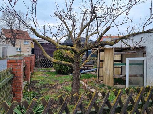 Foto - Einfamilienhaus in Seegebiet Mansfelder Land zum Kaufen