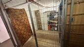 Foto - Etagenwohnung in Berlin zum Kaufen