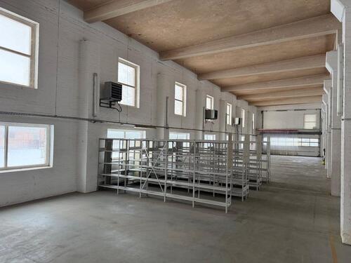 Foto - andere in Egeln