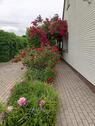 Foto - Haus mit Potenzial zu verkaufen 300qm Gartenfläche