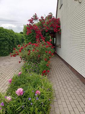 Foto - Haus mit Potenzial zu verkaufen 300qm Gartenfläche