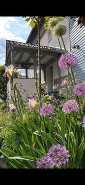 Foto - 4.5 Zimmer Bauernhaus, Landhaus in Weinbach