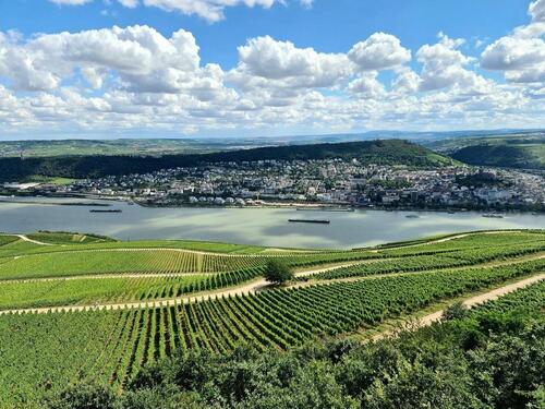 Foto - Moderne 3- Zimmer Wohnung am Waldrand zu vermieten!
