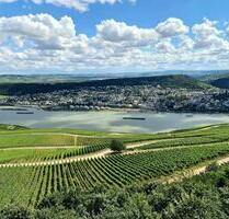 Moderne 3- Zimmer Wohnung am Waldrand zu vermieten! - Rüdesheim am Rhein