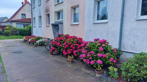 Foto - Helle 3-Zimmer-Wohnung in Garz - Hochparterre
