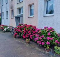 Helle 3-Zimmer-Wohnung in Garz - Hochparterre - Neustadt (Dosse)