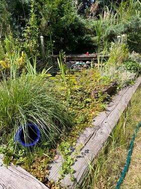 Foto - Frühjahr 2026 im eigenen Kleingarten b. Magdeburg genießen