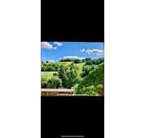 EFH in Erdmannsdorf - 1.900,00 EUR Kaltmiete, ca.  200,00 m² in Stadtroda (PLZ: 07646)