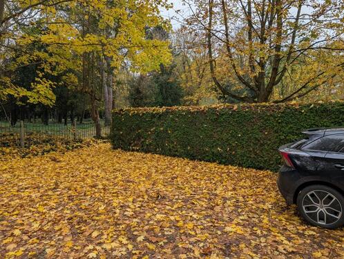 Foto - andere in Stralsund