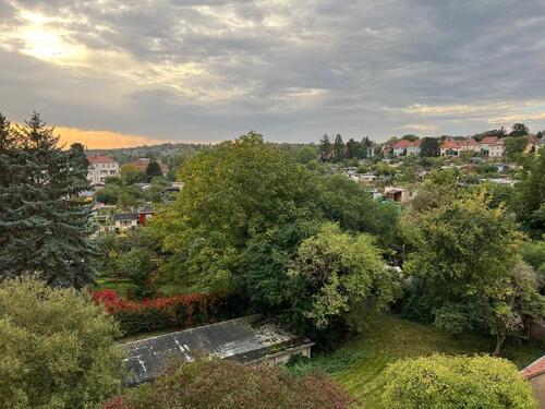 Foto - Studenten WG 4-Raum WE Kamin Wohnküche 2 Bäder, Altbauwohnung