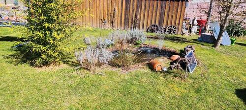 Foto - Einfamilienhaus in Bad Frankenhausen/Kyffhäuser zum Kaufen