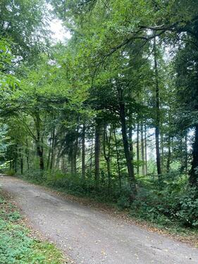 Foto - Grundst&uuml;ck in Visbek zur Miete