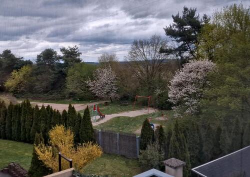 Foto - Einliegerwohnung in Schöner Lage