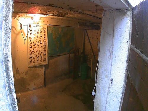 Foto - Einfamilienhaus in Filderstadt zur Miete