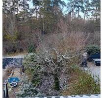 Elegantes Reihenmittelhaus mit 6 Zimmern in Nagold