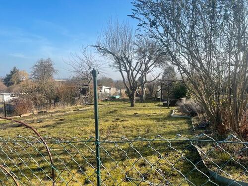 Foto - Schrebergarten zur Pacht abzugeben 'Gartenfreunde Galgenberg '