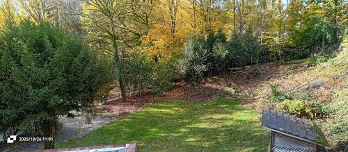 Foto - 4 Zimmer Einfamilienhaus in Losheim am See