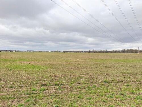 Foto - AUKTION: 0,4 ha Acker- und Unland