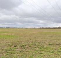 AUKTION: 0,4 ha Acker- und Unland - Elsterheide