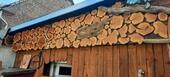 Foto - Einfamilienhaus freistehend mit großem Grundstück