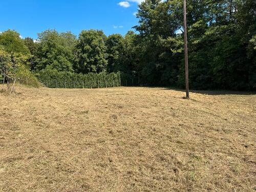 Foto - Bauernhaus, Landhaus in Rehlingen-Siersburg zum Kaufen