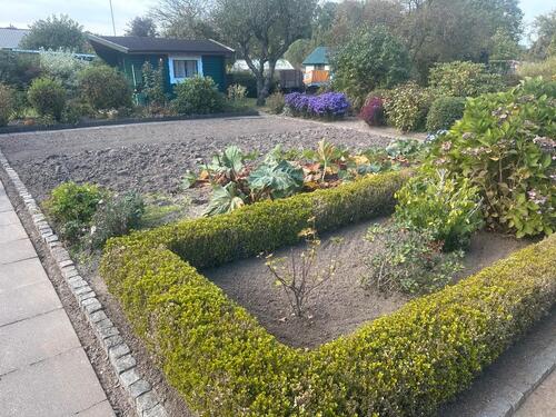 Foto - Kleingarten in Bad Bramstedt abzugeben. Im Auftrag für Pächter.