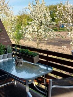 Foto - Mietwohnung - 700,00&nbsp;EUR Kaltmiete, ca.&nbsp; 45,00&nbsp;m&sup2;