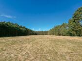 Foto - AUKTION: 0,8 ha Grünland - 4.000,00&nbsp;EUR Kaltmiete, ca.&nbsp; 0,00&nbsp;m&sup2;