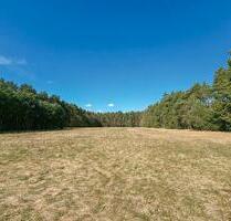 AUKTION: 0,8 ha Grünland - 4.000,00&nbsp;EUR Kaltmiete, ca.&nbsp; 0,00&nbsp;m&sup2; in Kodersdorf (PLZ: 02923)