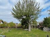 Foto - Grundst&uuml;ck zur Miete in Amt Wachsenburg