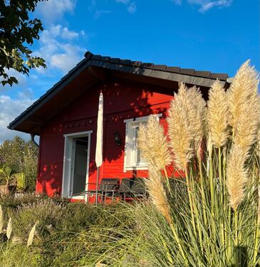 Foto - andere in Steinebach/Sieg zur Miete