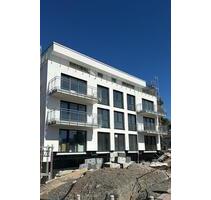 Erstbezug: Moderne 2,5-Zi.-Neubauwohnung mit Garten & EBK - Bad Friedrichshall